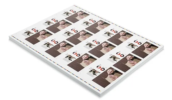 Fogli Macchina 64×88